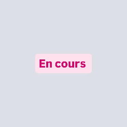 Bikinis customisés
