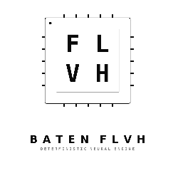 FLVH — Moteur d'inférence IA CPU-free sur puce FPGA