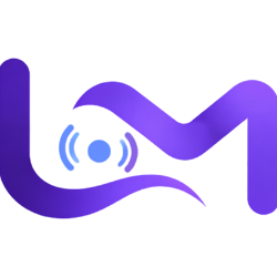 Laivi