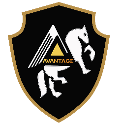 Avantage Digital