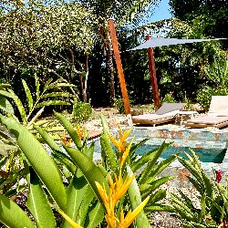 Hôtel Guadeloupe