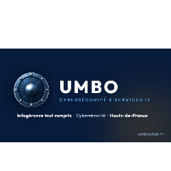 Associé cofondateur – Directeur commercial | Services IT & Télécoms B2B | Lille / Hauts-de-France